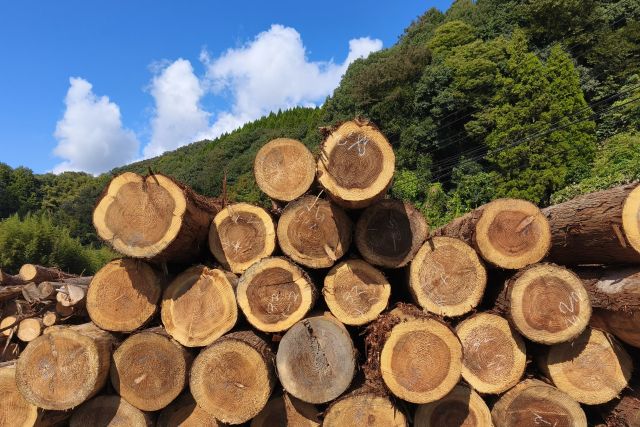 なぜ今木造なのか｜これからの暮らしと建築