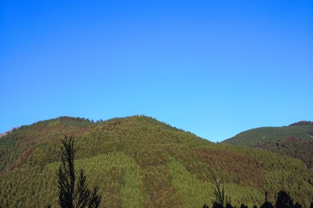 diary2060115　色のふしぎ