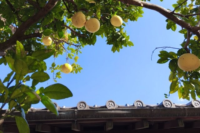 diary2060115　色のふしぎ