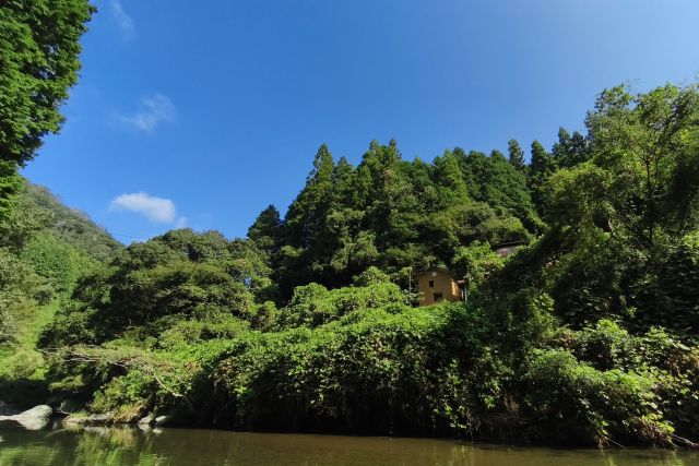 diary20250831　木登りにて満足