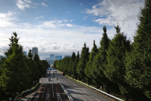 diary20250921東京朝みどり散歩