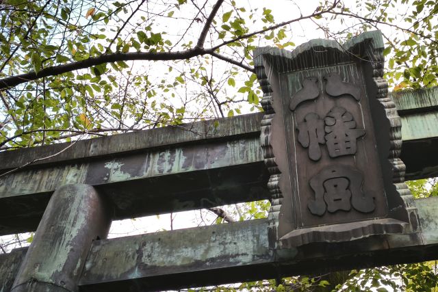 diary20250922東京朝みどり散歩