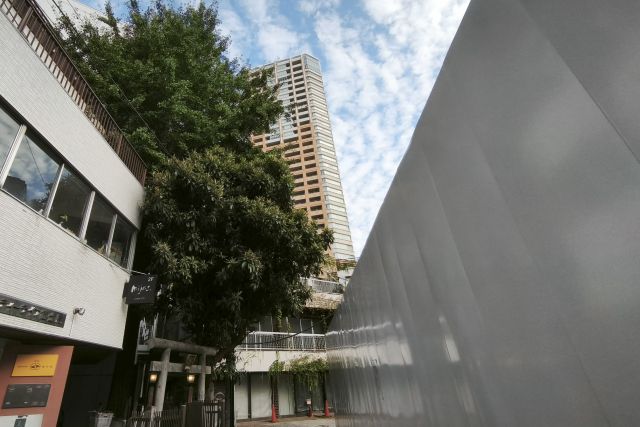 diary20250923東京朝みどり散歩