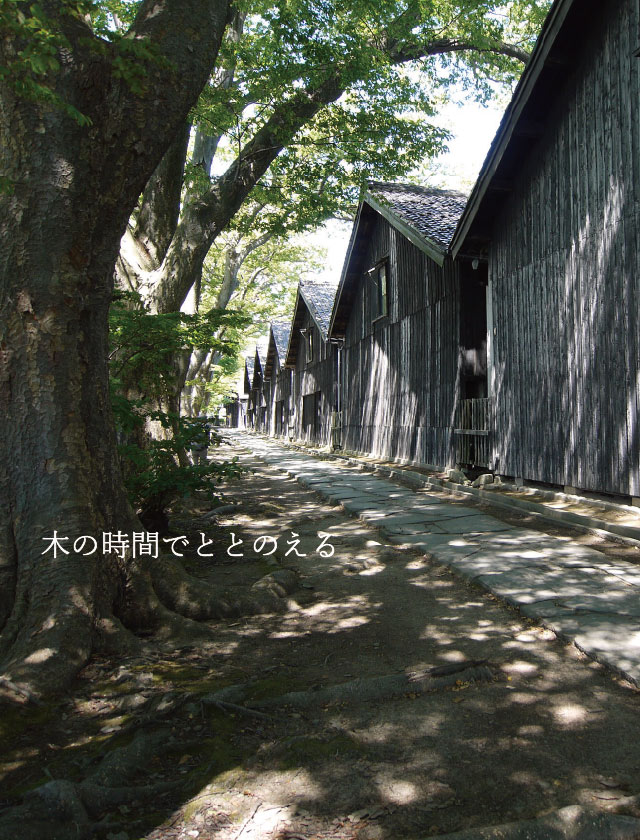 木の外壁と並木道の建築風景